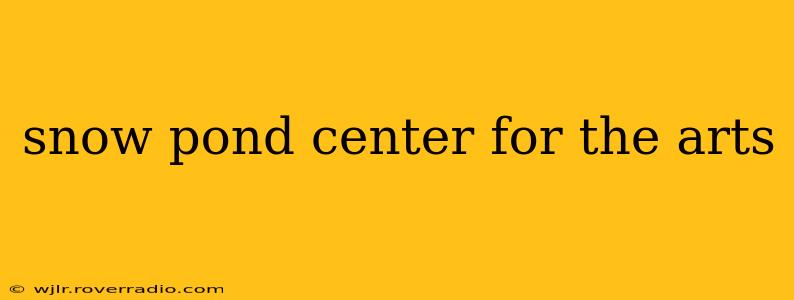 snow pond center for the arts