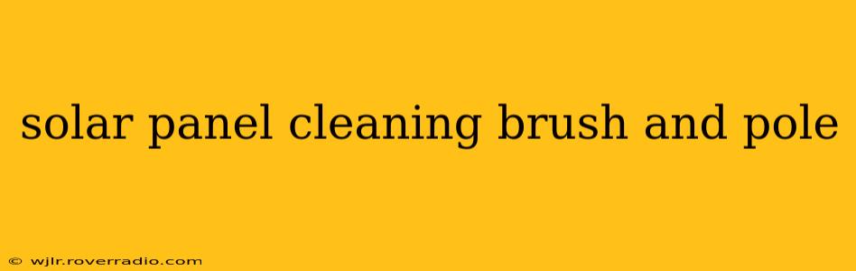 solar panel cleaning brush and pole