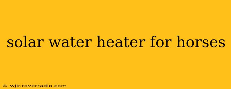 solar water heater for horses