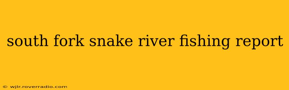 south fork snake river fishing report