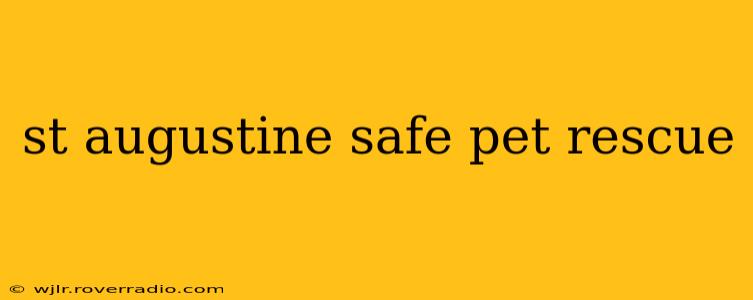 st augustine safe pet rescue