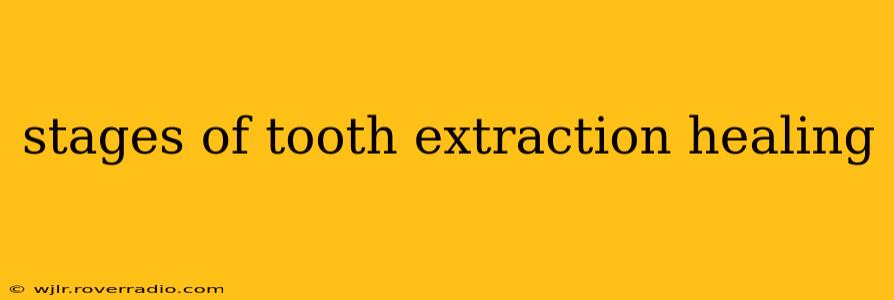 stages of tooth extraction healing