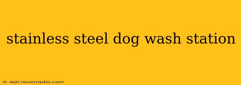 stainless steel dog wash station