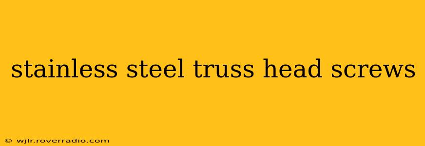 stainless steel truss head screws
