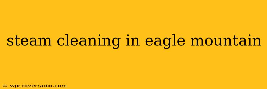 steam cleaning in eagle mountain