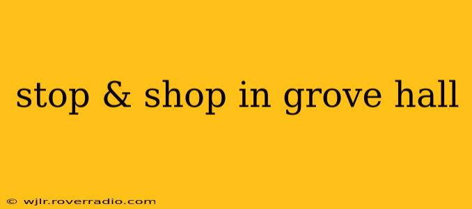 stop & shop in grove hall