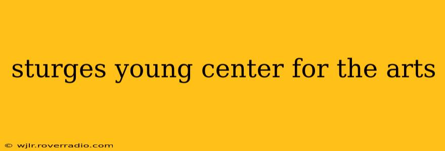 sturges young center for the arts
