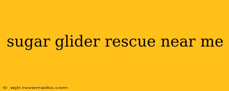 sugar glider rescue near me
