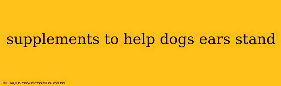 supplements to help dogs ears stand