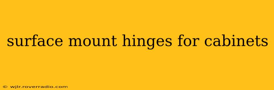 surface mount hinges for cabinets