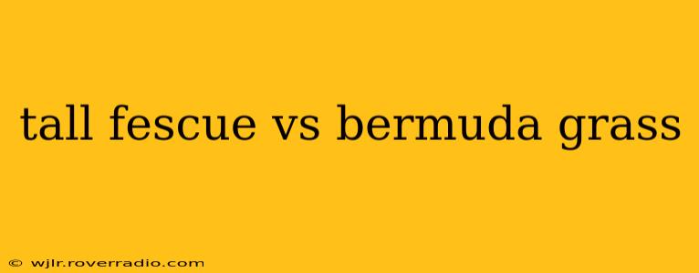 tall fescue vs bermuda grass