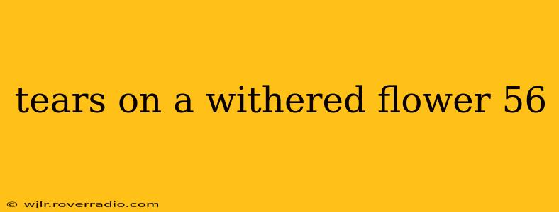 tears on a withered flower 56