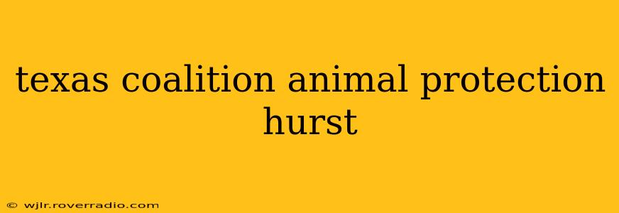 texas coalition animal protection hurst