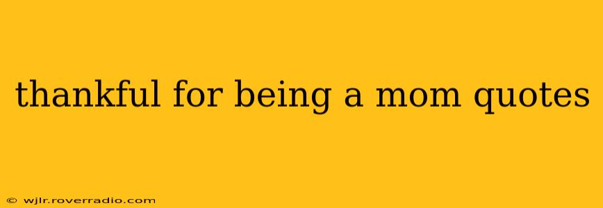 thankful for being a mom quotes