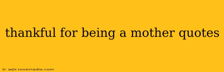 thankful for being a mother quotes