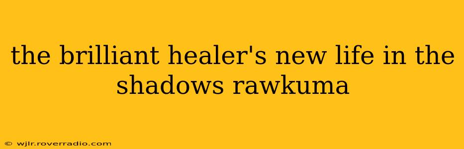 the brilliant healer's new life in the shadows rawkuma