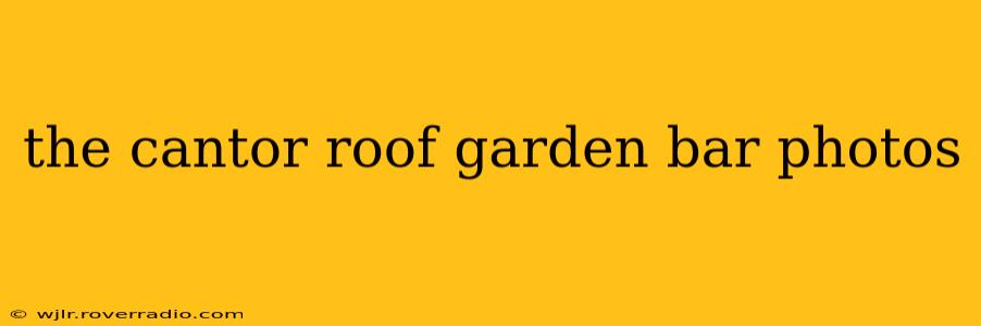 the cantor roof garden bar photos