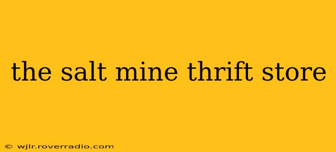 the salt mine thrift store