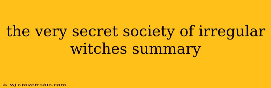 the very secret society of irregular witches summary