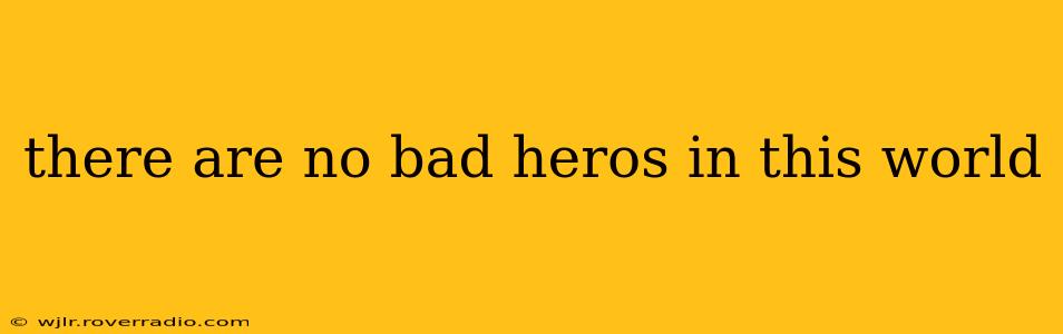 there are no bad heros in this world