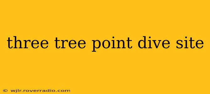 three tree point dive site
