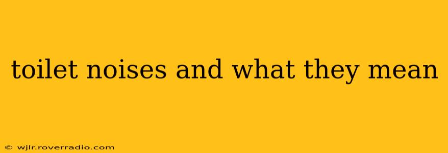 toilet noises and what they mean