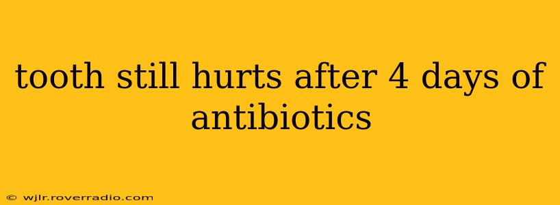 tooth still hurts after 4 days of antibiotics