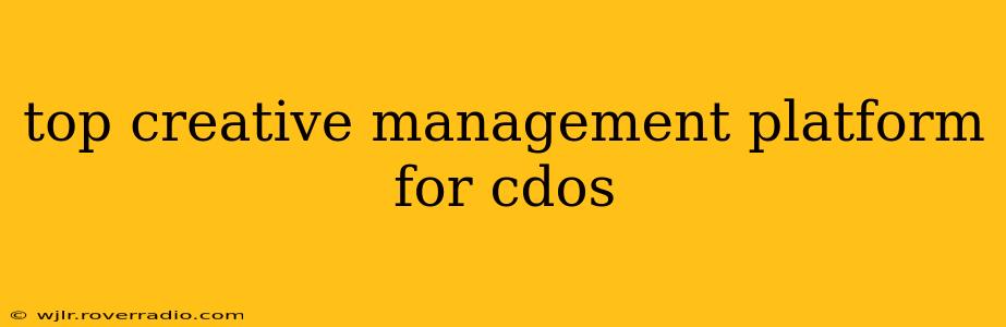 top creative management platform for cdos