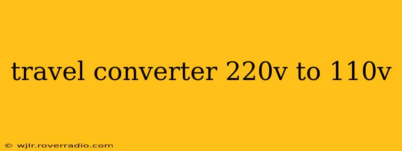 travel converter 220v to 110v