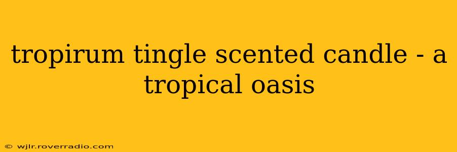 tropirum tingle scented candle - a tropical oasis