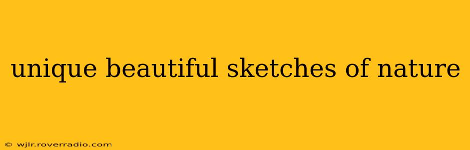 unique beautiful sketches of nature