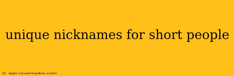 unique nicknames for short people