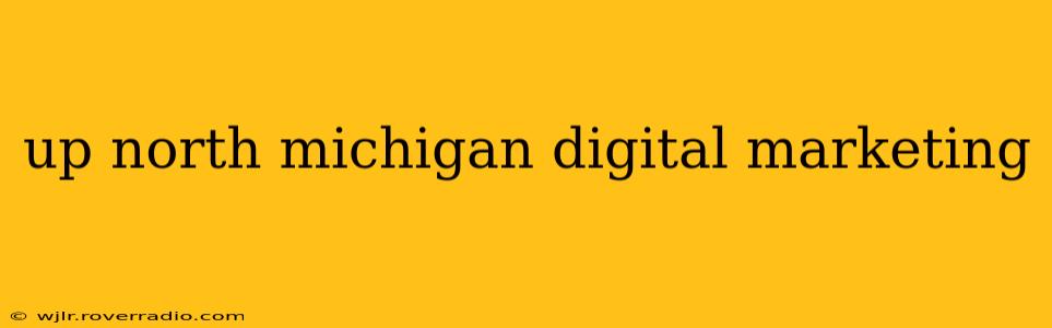 up north michigan digital marketing