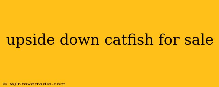 upside down catfish for sale
