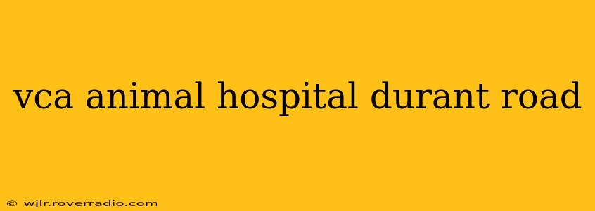 vca animal hospital durant road