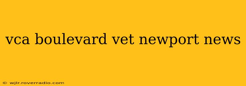 vca boulevard vet newport news