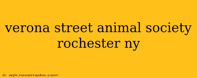 verona street animal society rochester ny