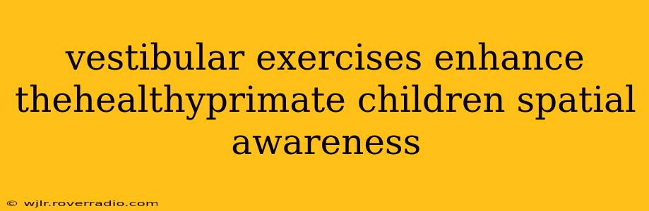 vestibular exercises enhance thehealthyprimate children spatial awareness