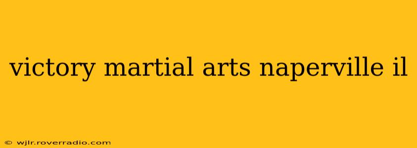 victory martial arts naperville il