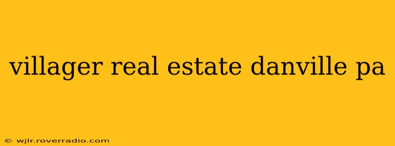 villager real estate danville pa