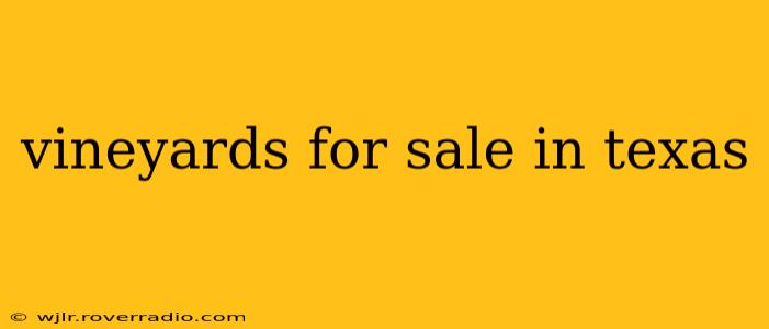 vineyards for sale in texas