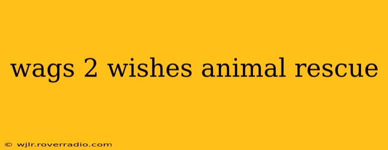 wags 2 wishes animal rescue