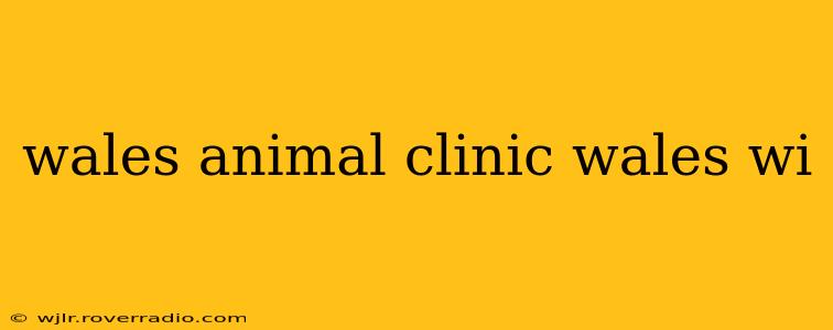 wales animal clinic wales wi
