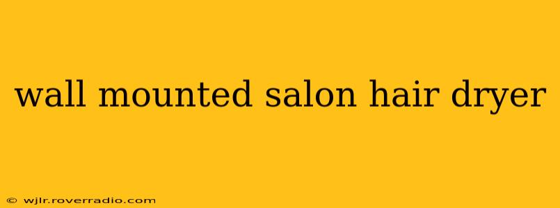 wall mounted salon hair dryer