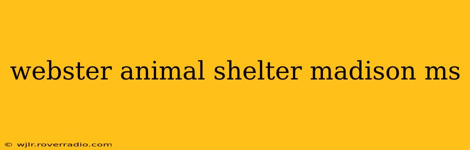 webster animal shelter madison ms