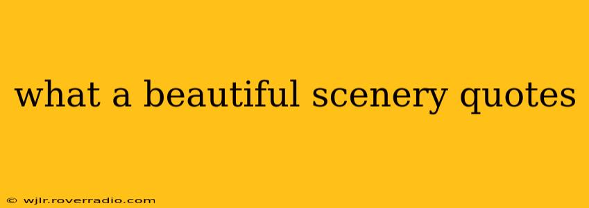 what a beautiful scenery quotes