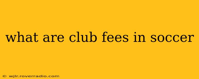 what are club fees in soccer