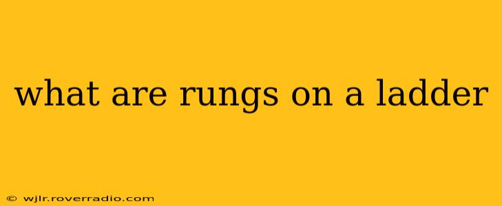 what are rungs on a ladder
