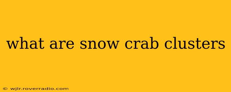 what are snow crab clusters