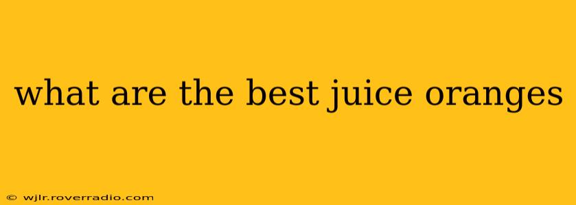 what are the best juice oranges